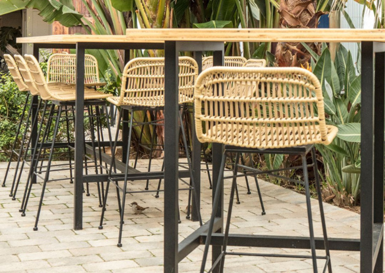 Meet the Model - Tropics